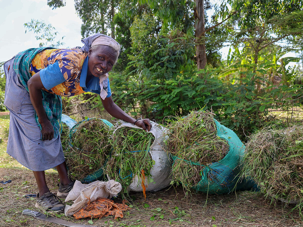 Geschnittenes Gras dient der Frau zum Lebensunterhalt.
