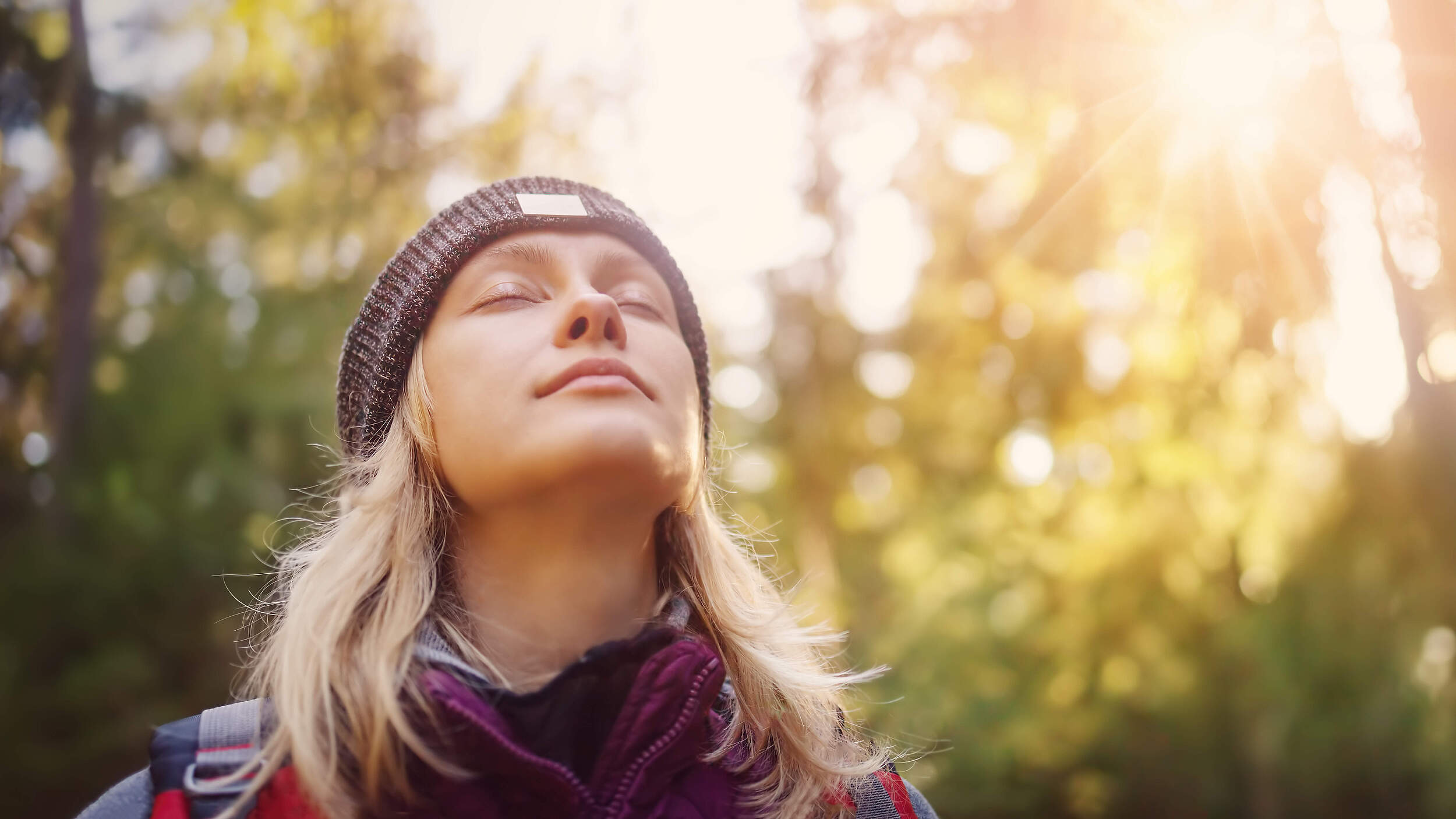 Den Wald und die Früchte der Waldarbeit genießen. @ LeManna / iStock / Getty Images