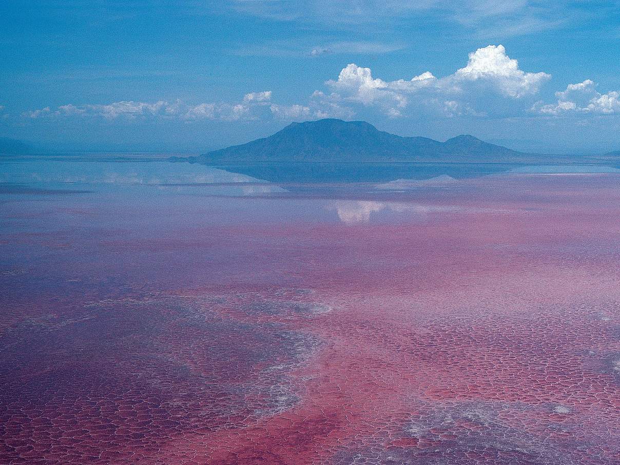 Der Lake Natron in Tansania © Images of Africa Photobank / Alamy Stock Photo