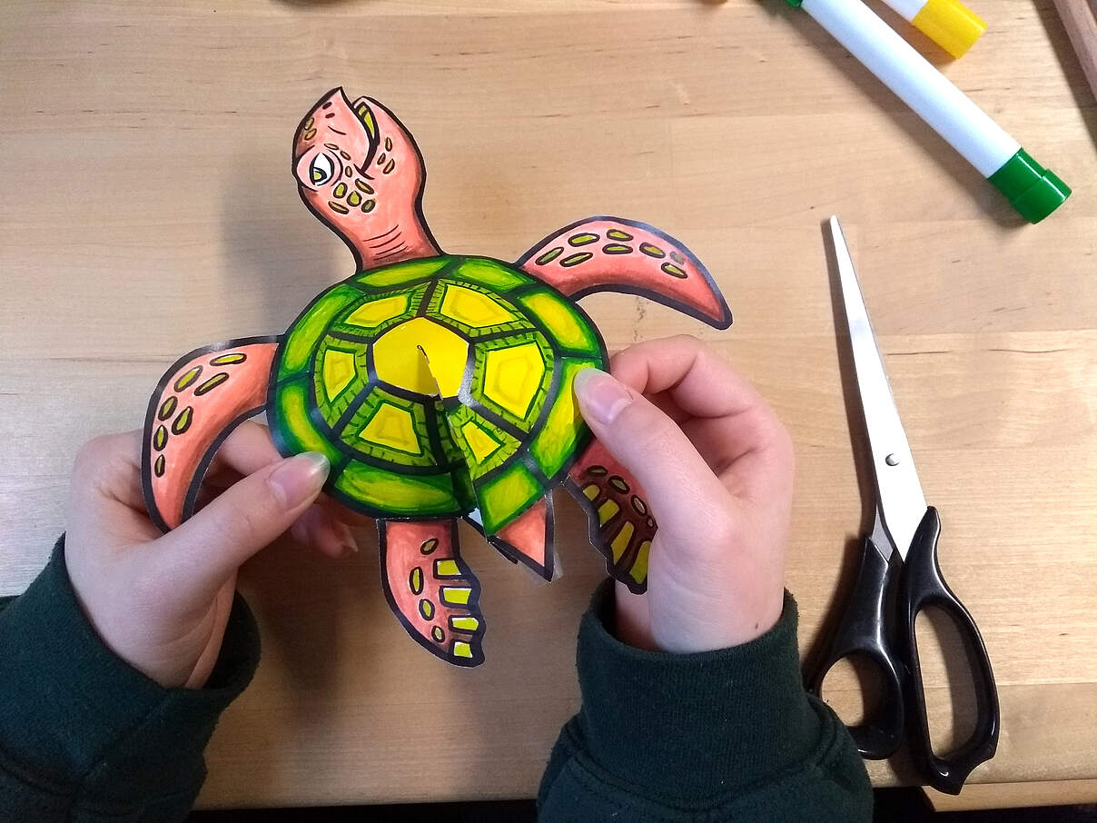 Schildkröte basteln