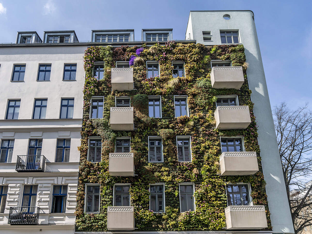 Gebäude © Imago / Jürgen Held