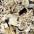 Elfenbein Souvenirs © Bas Huijbregts / WWF Canon