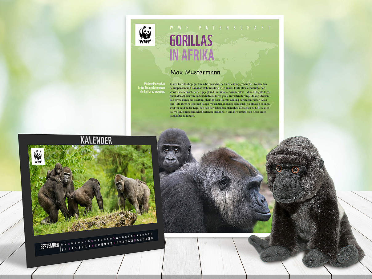 Begrüßungspaket Gorilla-Patenschaft © WWF