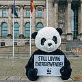 Panda protestiert zum Erneuerbare-Energien-Gesetz © Marlene Gawrisch / WWF