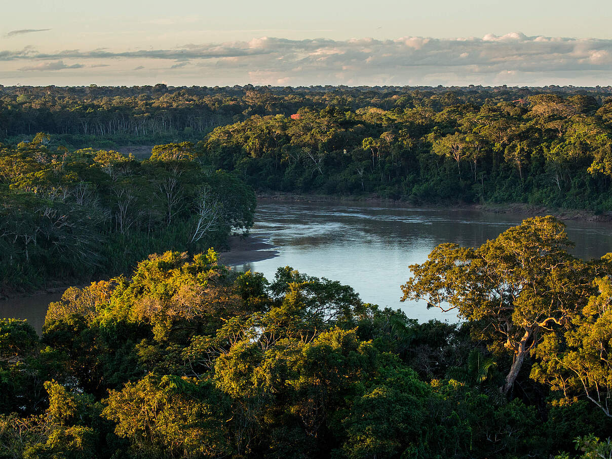 Die Kronen der Bäume im Regenwald aus der Vogelperspektive, dazwischen sieht man den Amazonas.