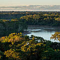 Die Kronen der Bäume im Regenwald aus der Vogelperspektive, dazwischen sieht man den Amazonas.