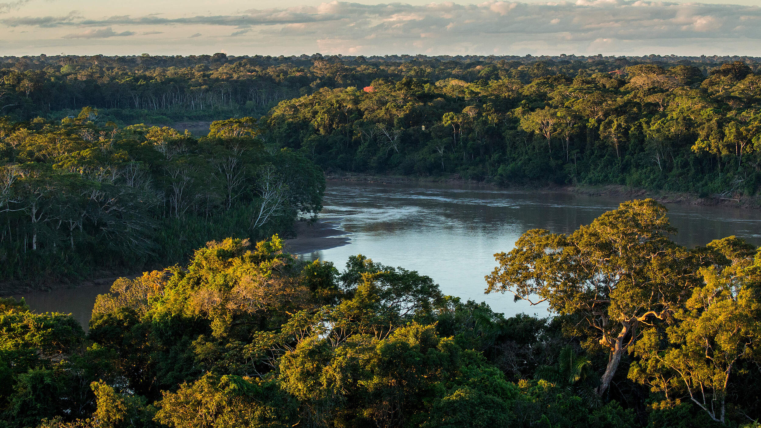 Die Kronen der Bäume im Regenwald aus der Vogelperspektive, dazwischen sieht man den Amazonas.