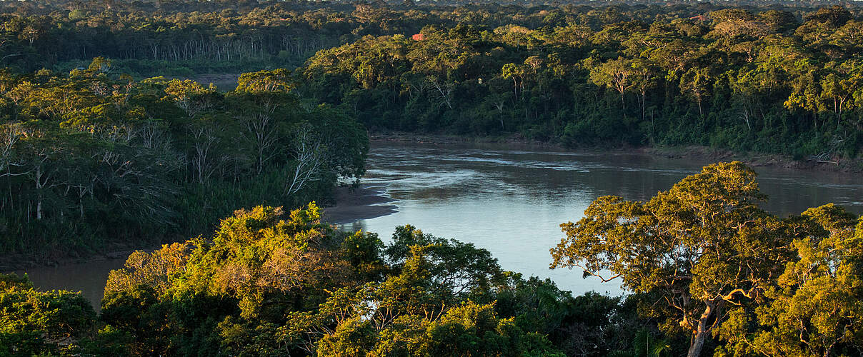 Die Kronen der Bäume im Regenwald aus der Vogelperspektive, dazwischen sieht man den Amazonas.