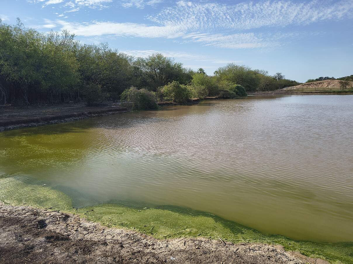 In diesem Wasserreservoir wird Wasser für die Trockenzeit gespeichert © Kerstin Weber In diesem Wasserreservoir wird Wasser für die Trockenzeit gespeichert © Kerstin Weber