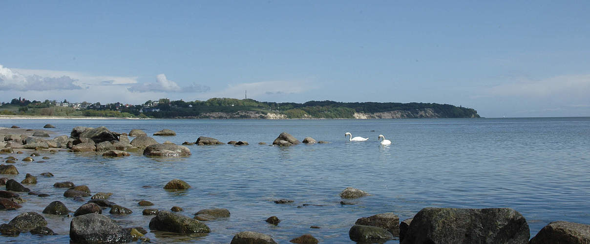 Insel Rügen in der Ostsee © Ralph Frank