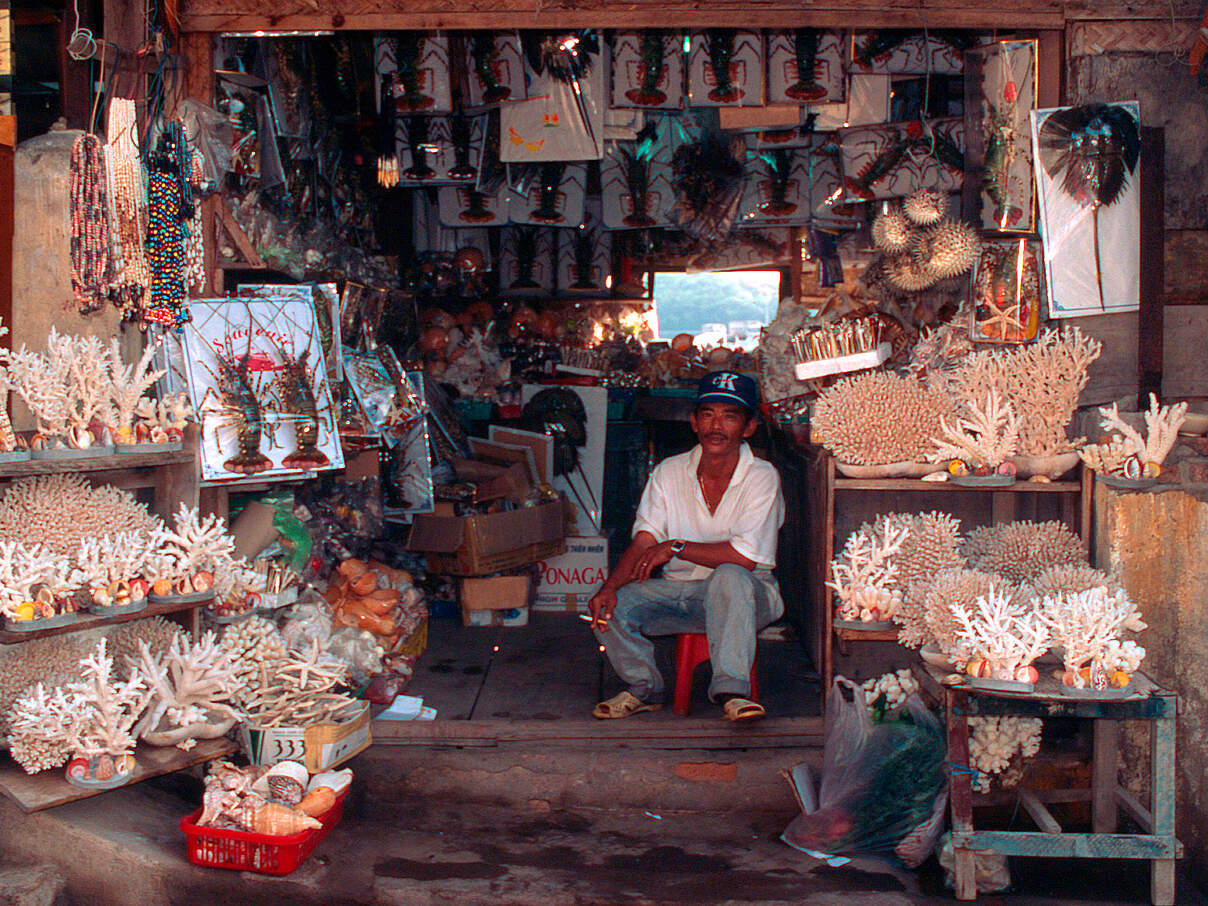 Laden mit Korallen in Vietnam