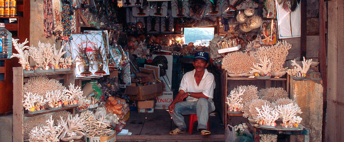 Laden mit Korallen in Vietnam