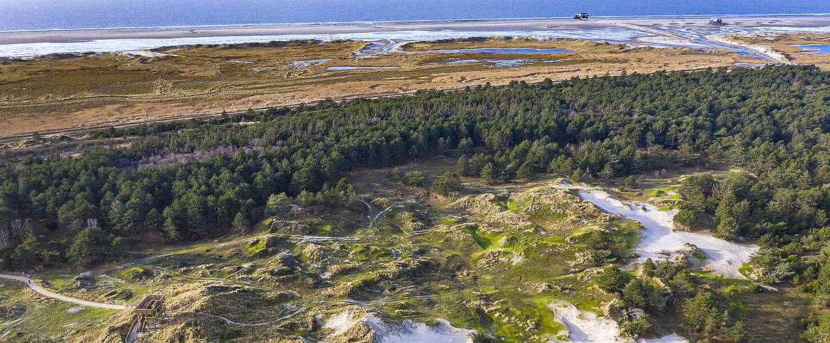 Dünen, Wald, Salzwiesen und Strand von St. Peter-Ording © M. Stock