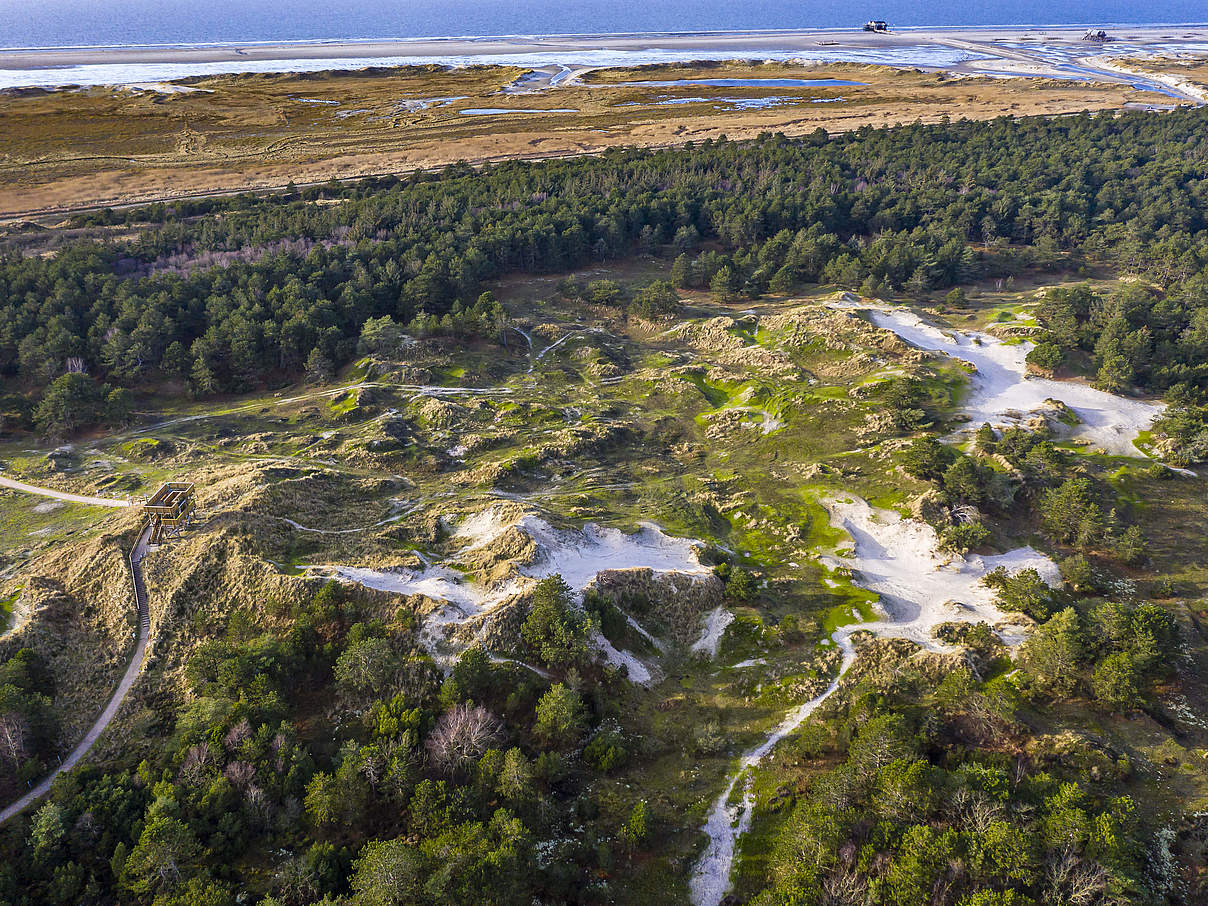 Dünen, Wald, Salzwiesen und Strand von St. Peter-Ording © M. Stock