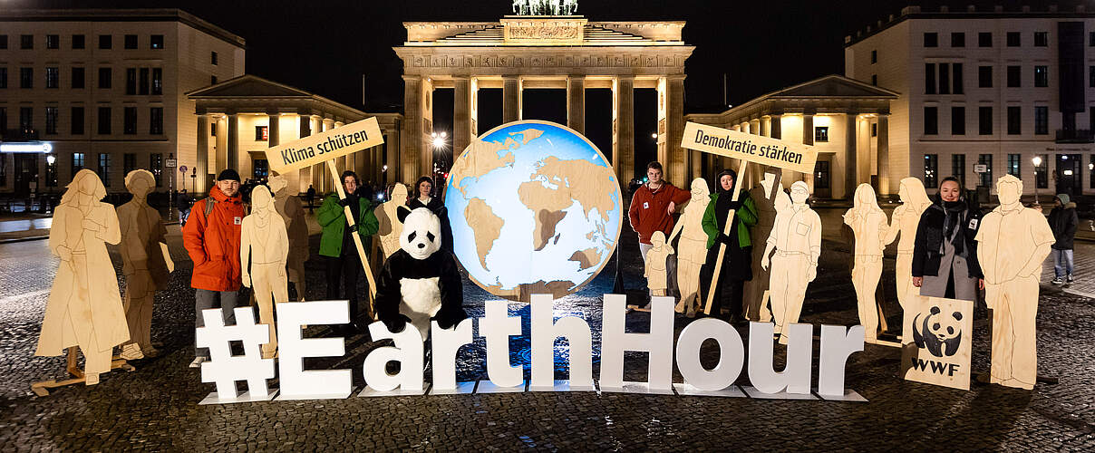 Die Earth Hour 2024: Licht an am Brandenburger Tor © Jörg Farys / WWF 