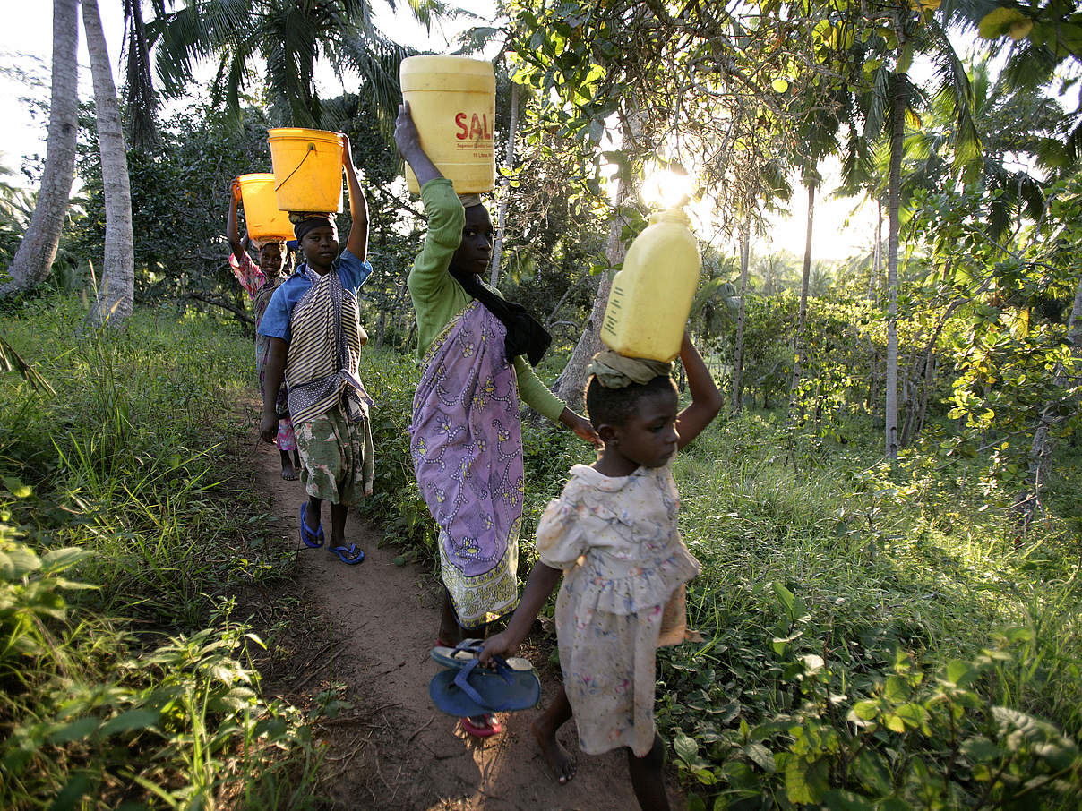 Monitoring der Wälder im WWF-Projektgebiet in Kwale. © WWF