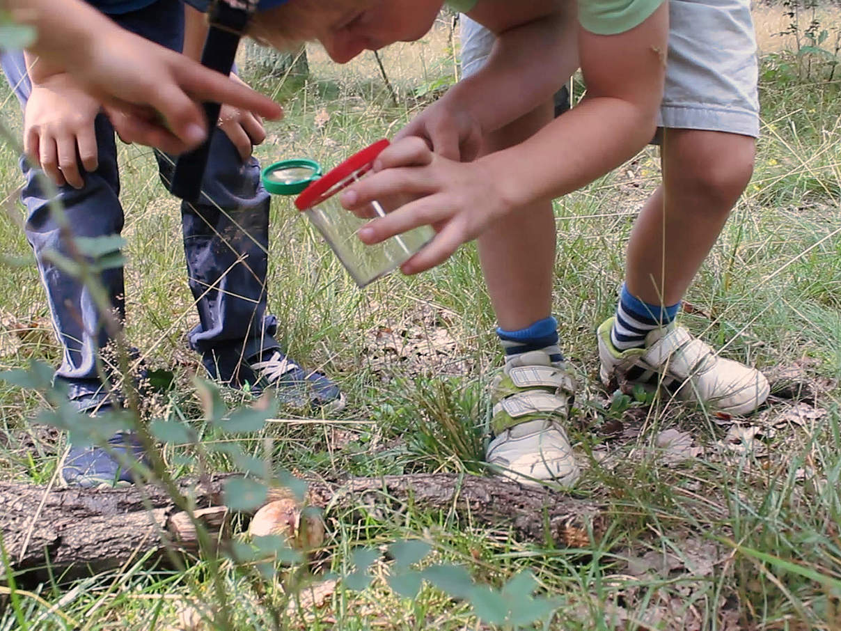 Kinder beim Entdecken im Wald © WWF