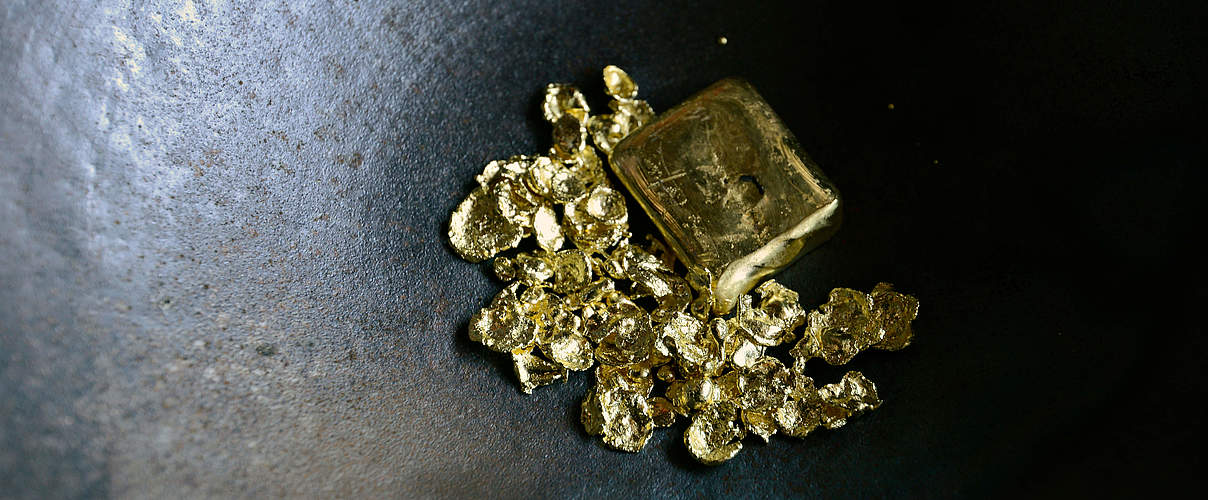 Gold-Nuggets aus dem Tapajos in Brasilien © Adriano Gambardini / WWF-Brazil