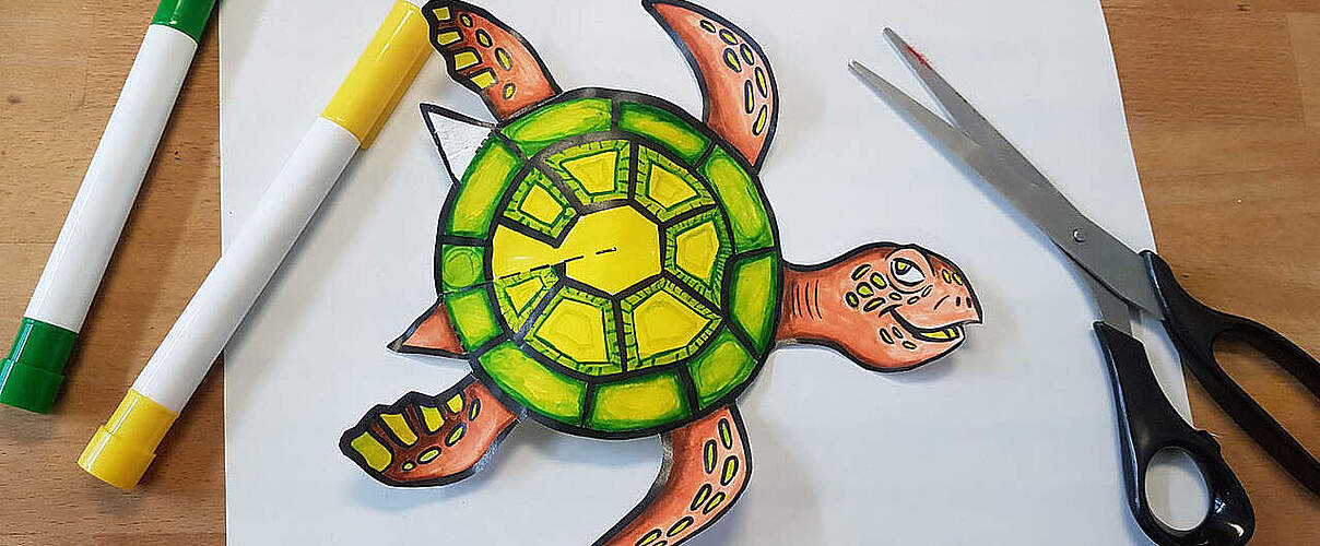Schildkröte basteln