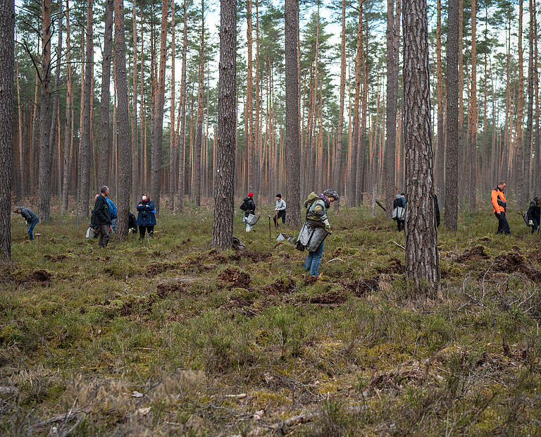 Pflanzteams in Aktion © Sonja Ritter / WWF