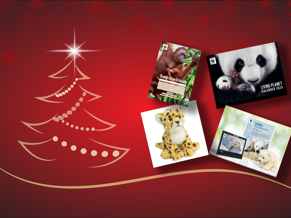 Weihnachten beim WWF © pixabay