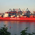 Containerschiff im Hamburger Hafen © Britta König / WWF