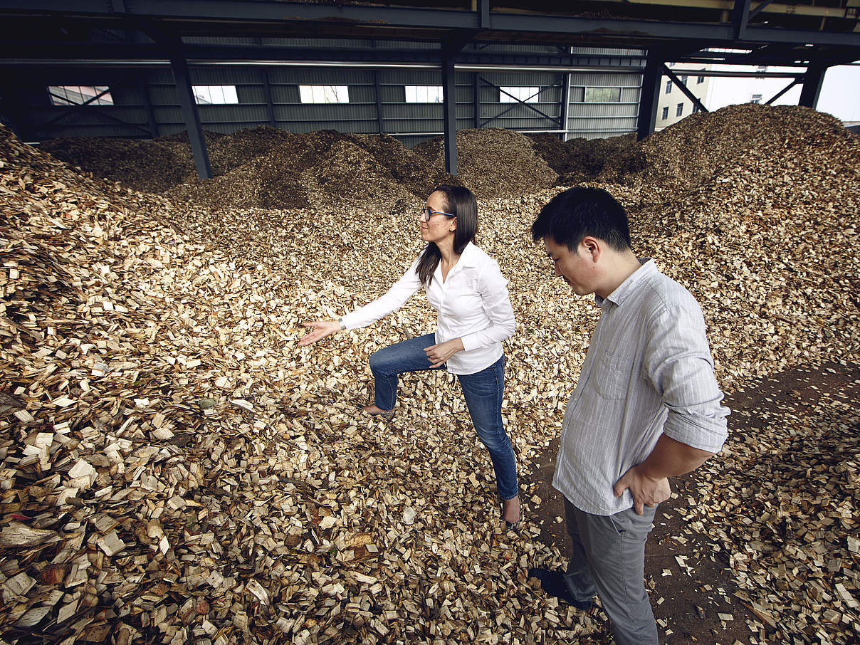 Holzmarkt in China © WWF-US / Zachary Bako