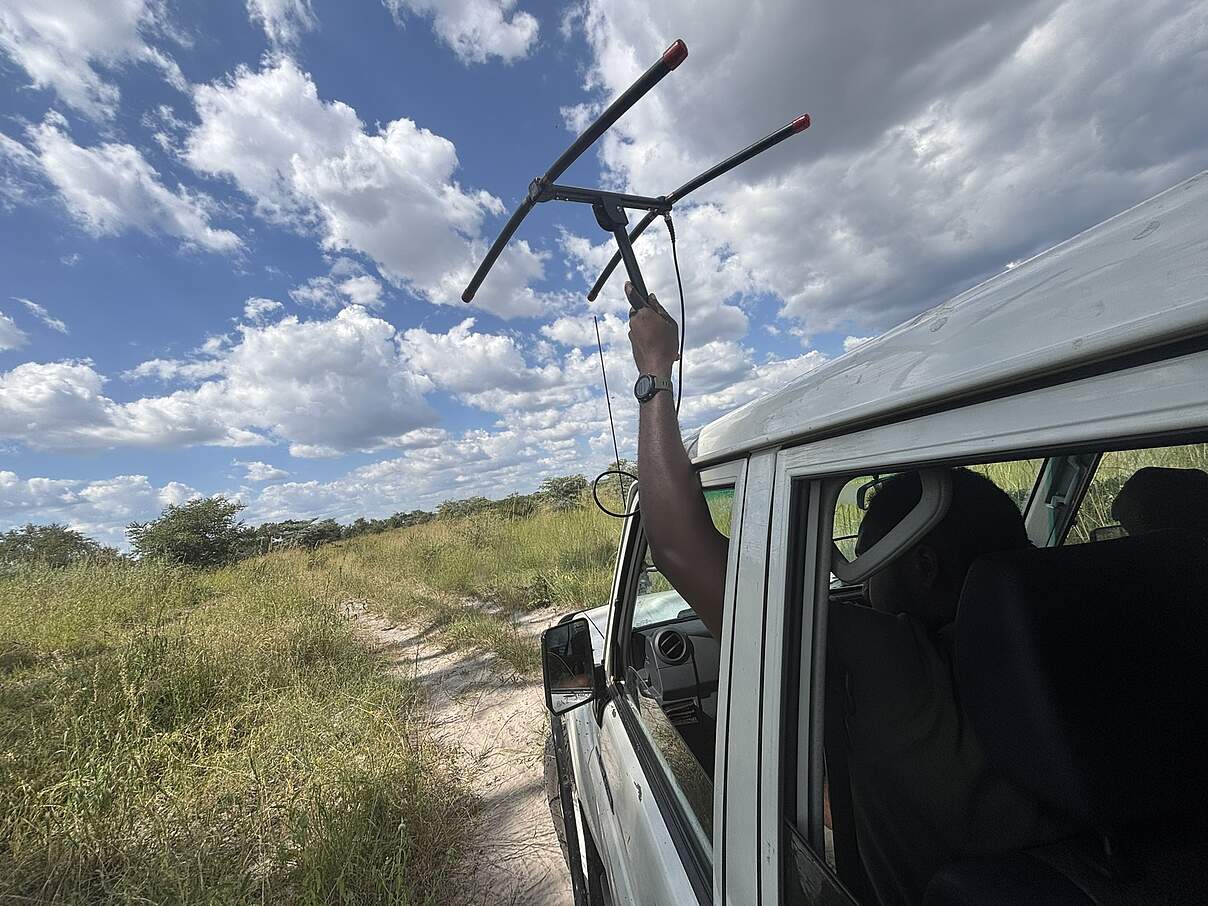 Der Handempfänger hat das GPS-Signal erreicht.