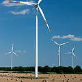 Windenergie auf Feldern © Bernd Lammel / WWF