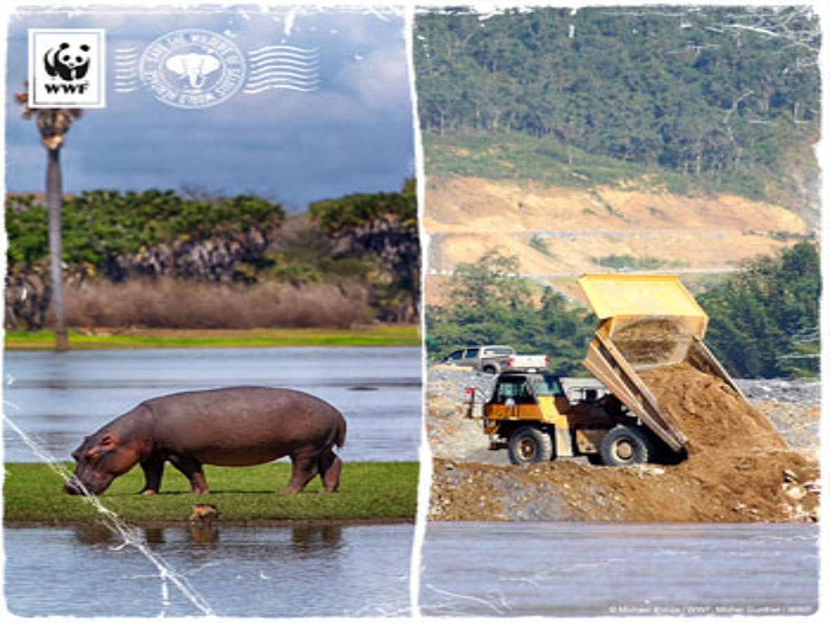 Schutzgebiet Selous in Tansania © WWF