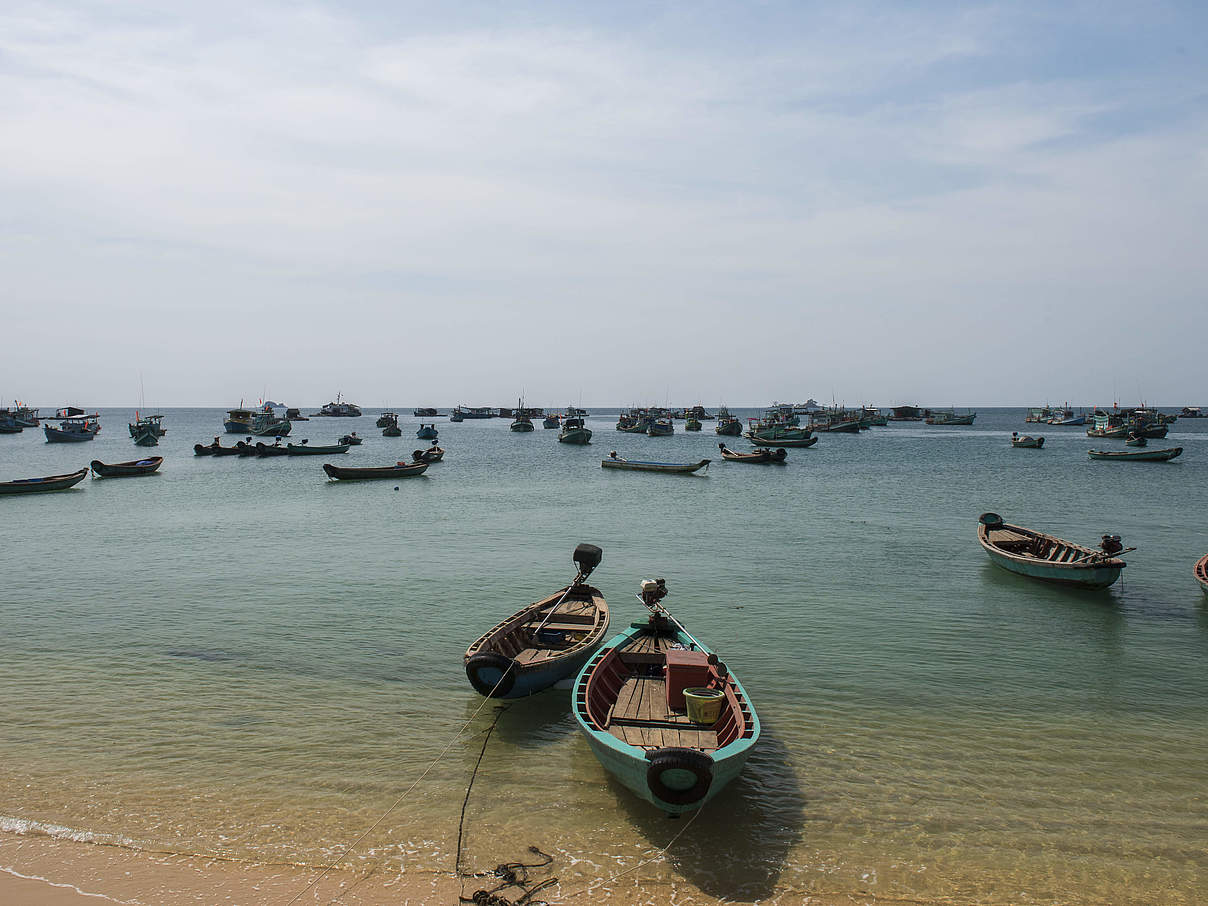 Küste in Asien © GettyImages