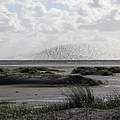 Wattenmeer bei Langeoog © Hans-Ulrich Rösner / WWF