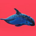 Krypto-Kunst zum Vaquita von Lea Fricke © Lea Fricke