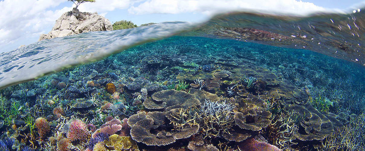 Unterwasserlandschaft mit Korallenriffen im Tun Mustapha Park © WWF-Malaysia / Eric Madeja 