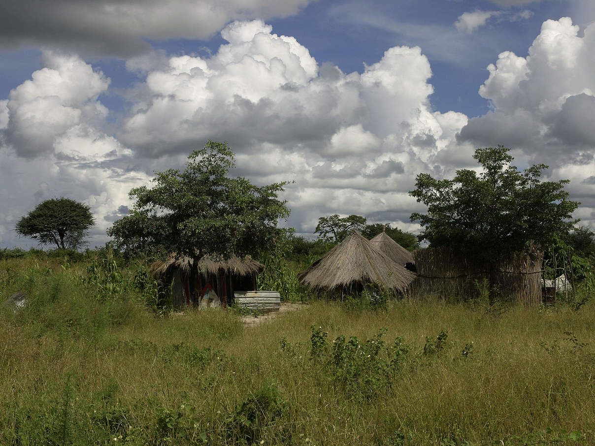 Dorf im Kwandu-Gemeindeschutzgebiet in Namibia © Folke Wulf / WWF 