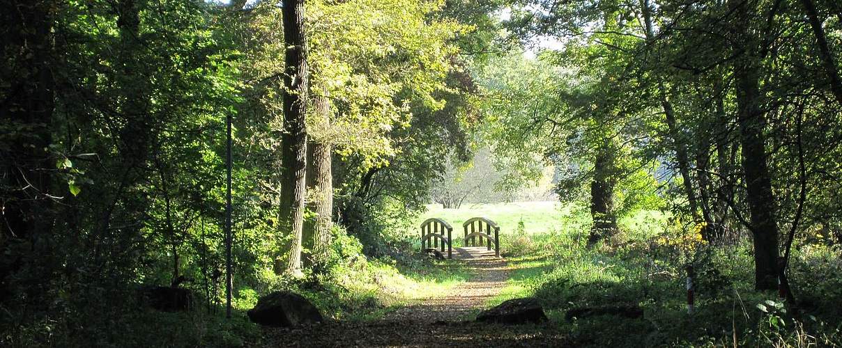 Wanderweg Großkühnau an der mittleren Elbe © Bernd Eichhorn / WWF