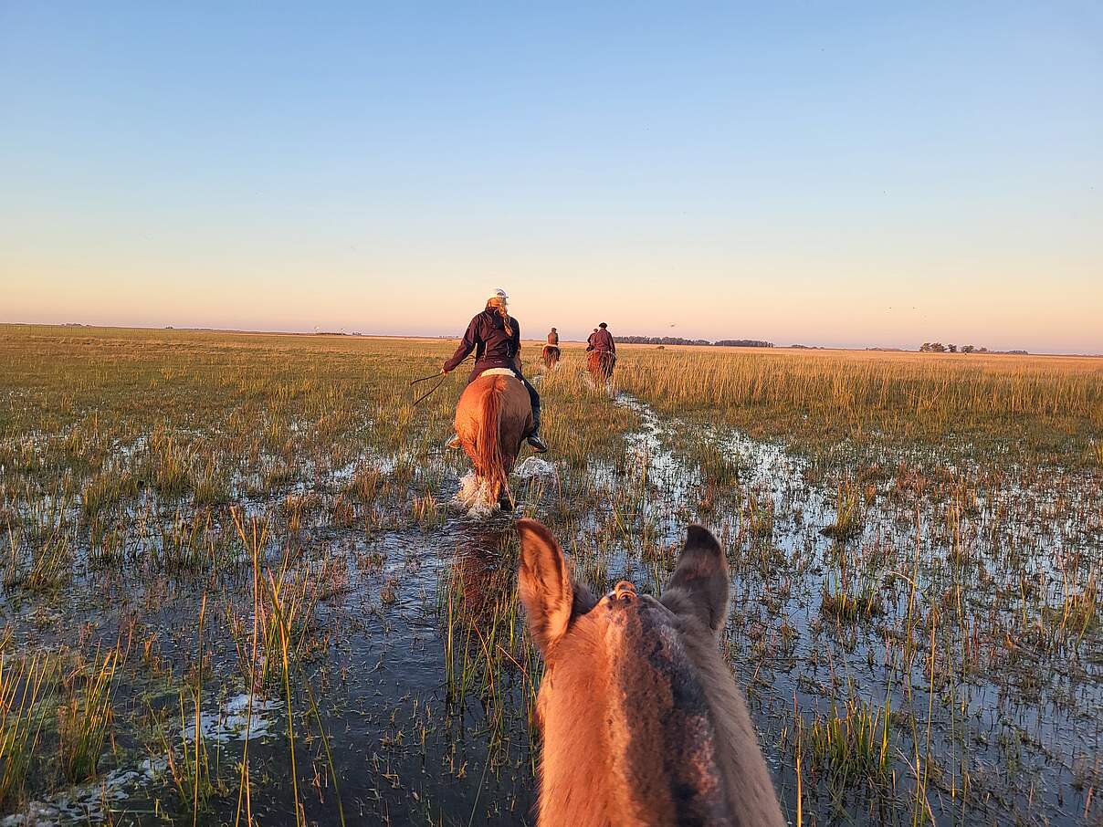 Projektbesuch in Paraguay und Argentinien