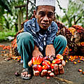 Palmölernte von Farmer Pak Godi © James Morgan / WWF International