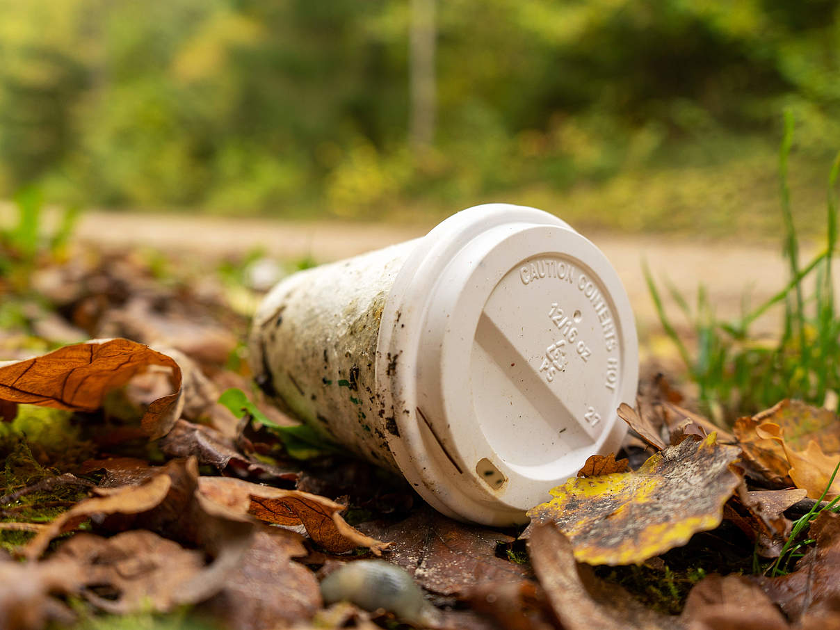 Plastikbecher in der Umwelt © GettyImages