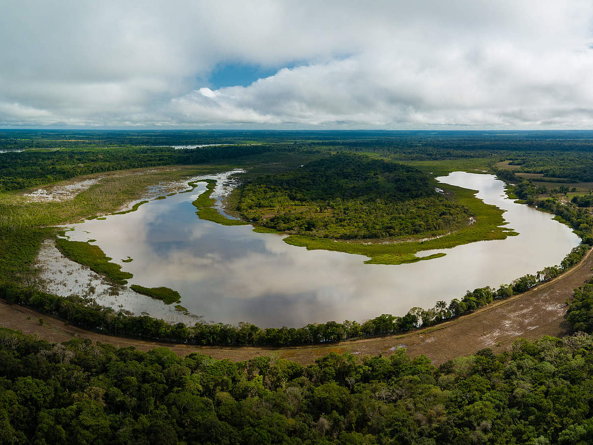 Der Nationalpark Chiribiquete © Luis Barreto / WWF-UK