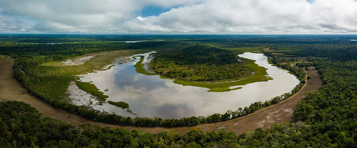 Der Nationalpark Chiribiquete © Luis Barreto / WWF-UK