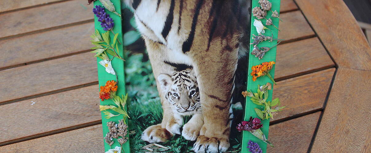 Urwald-Bilderrahmen © Marlene Mühling / WWF