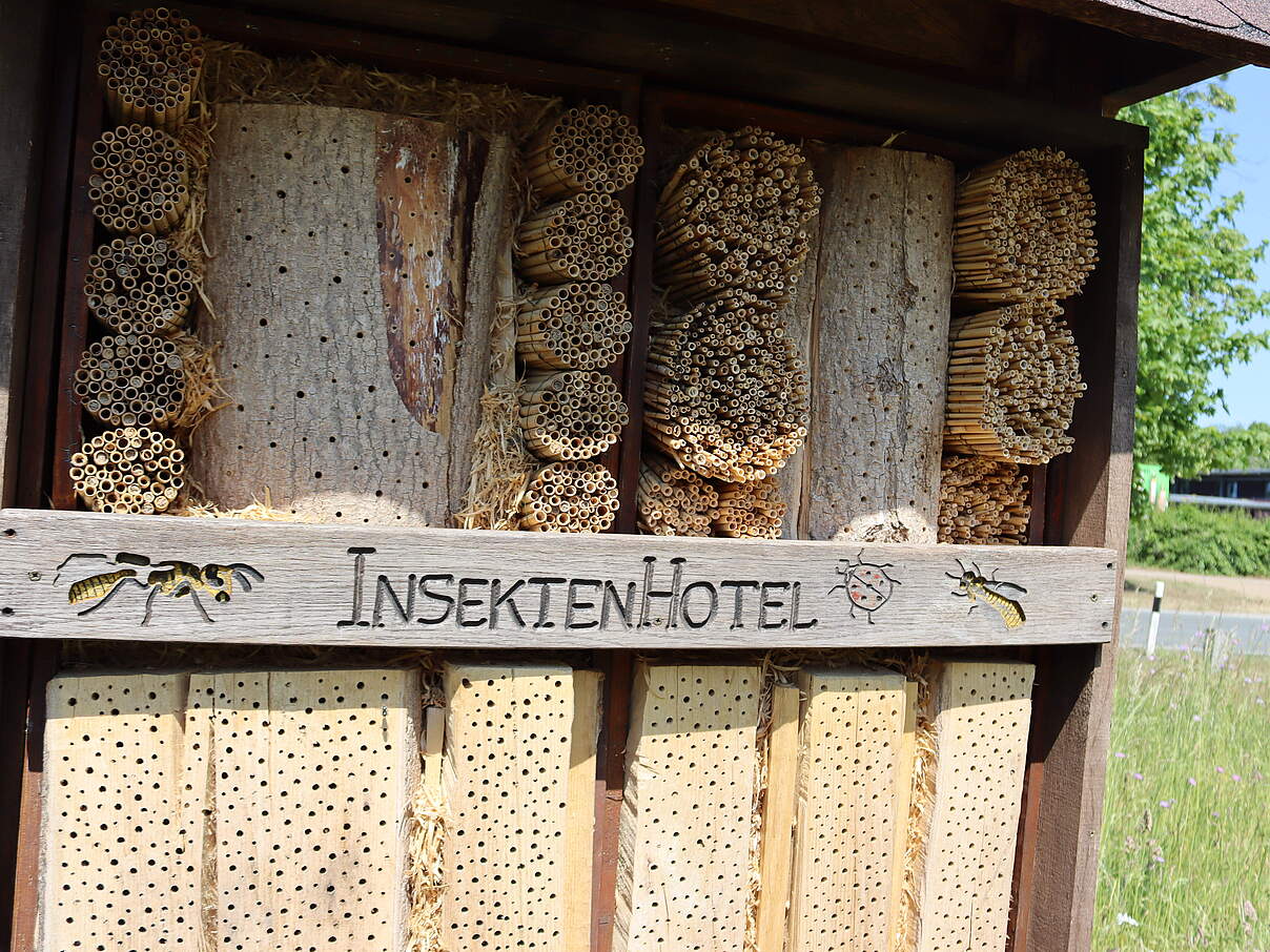 Nisthilfe mit Schilf und Holz © J Kuczyk