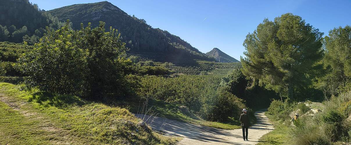 Zitrus-Projekt von EDEKA und WWF sorgt für mehr Artenvielfalt im Orangenhain