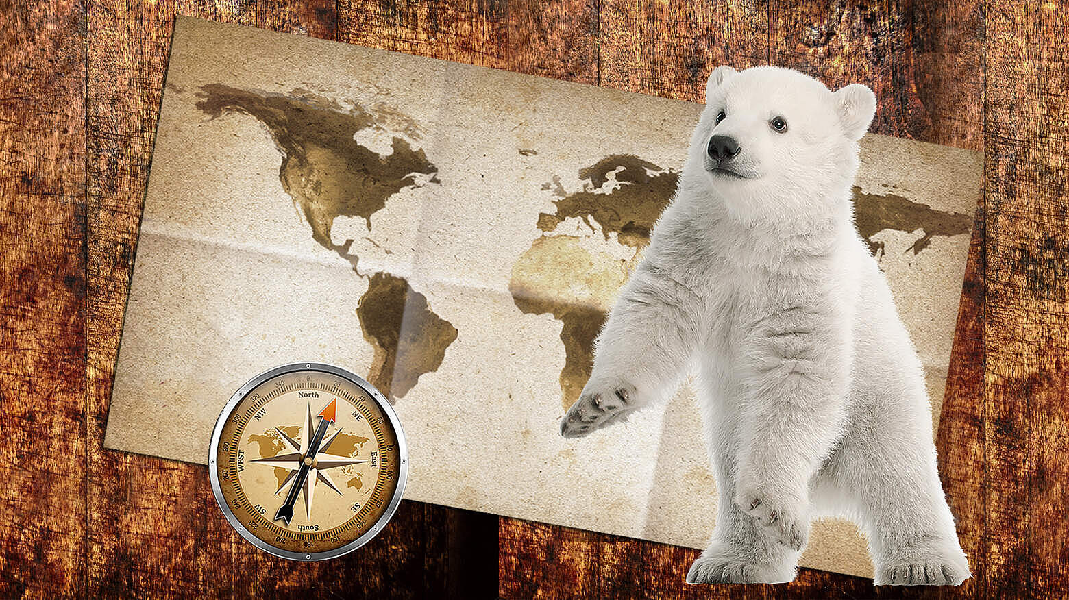 Paten Header Eisbaer © WWF
