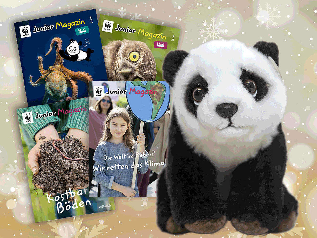 Begrüßungspaket für die WWF Junior-Fördermitgliedschaft © WWF Begrüßungspaket für die WWF Junior-Fördermitgliedschaft © WWF