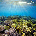 Great Barrier Reef © Troy Mayne / WWF Australien
