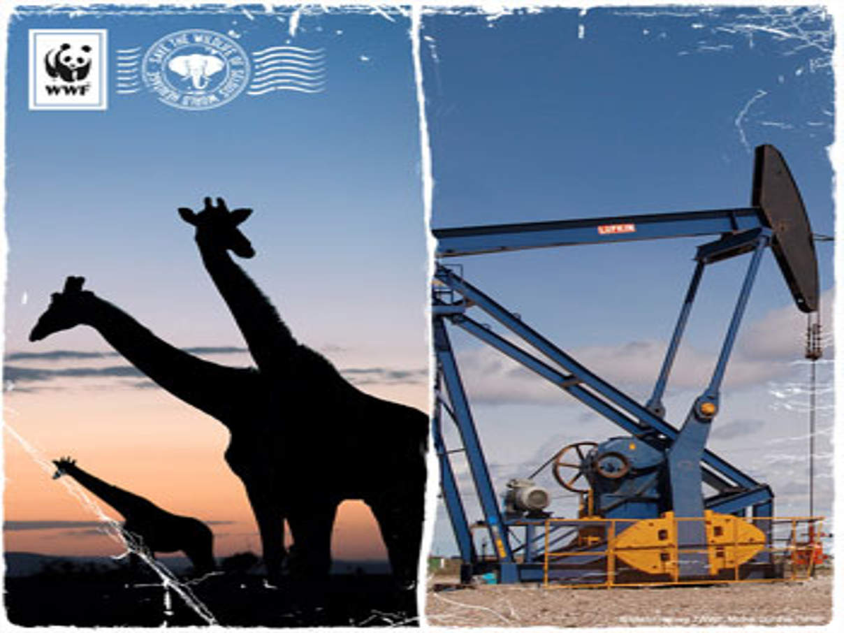 350 Selous Giraffe c WWF Selous - bedrohtes Weltnaturerbe © WWF