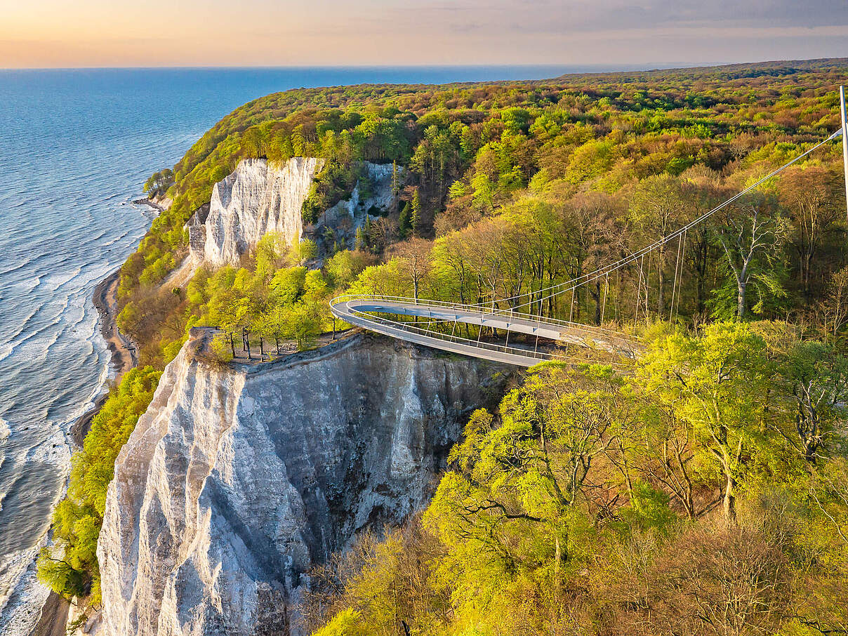 Skywalk © Nationalpark Zentrum Königsstuhl