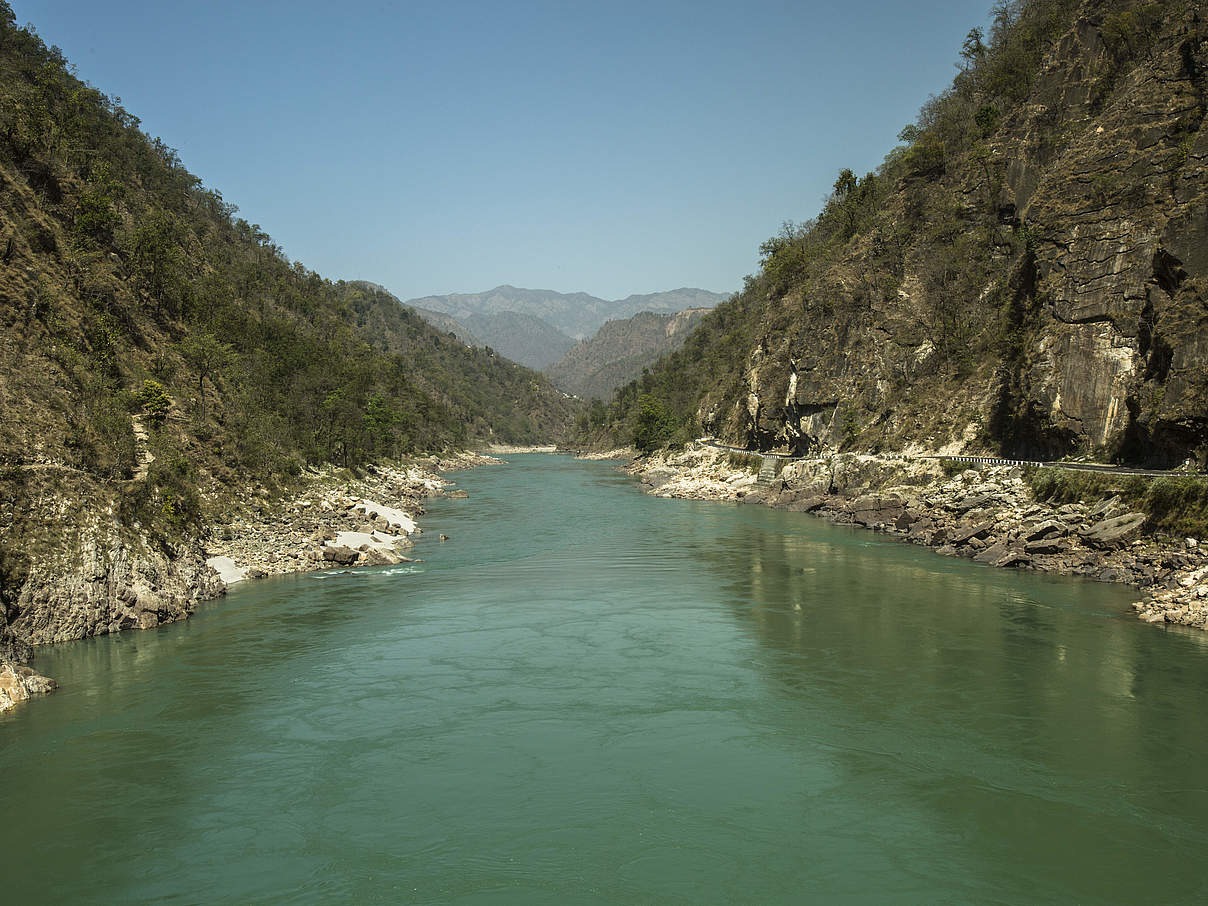 Ganges © Robin Darius / Felis